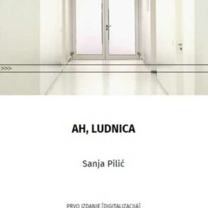 Ah, ludnica - Sanja Pilić