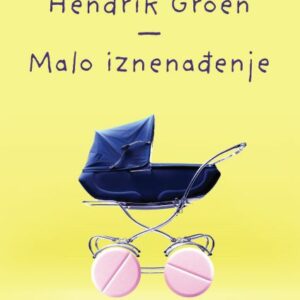 Malo iznenađenje ili Kako su se Hendrik i Evert uvalili u nevolje – Hendrik Groen