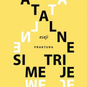 Fatalne simetrije – Nebojša Lujanović
