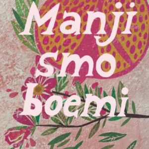 Manji smo boemi – Eimear McBride