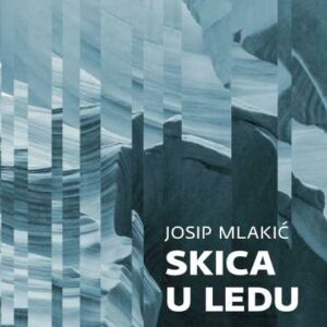 Skica u ledu – Josip Mlakić