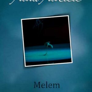 Melem – Pavao Pavličić