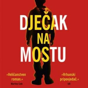 Dječak na mostu – M. R. Carey