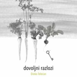 Dovoljni razlozi i druge pjesme – Dinko Telećan