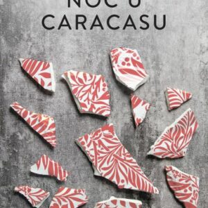 Noć u Caracasu – Karina Sainz Borgo