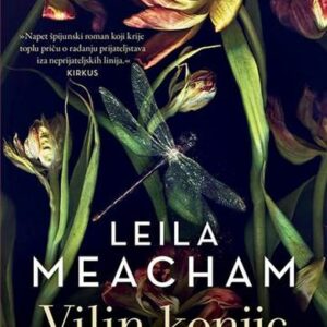 Vilin konjic – Leila Meacham