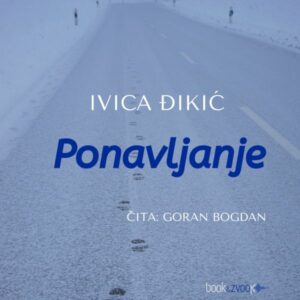 Ponavljanje – Ivica Đikić